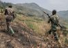 Hundreds Flee as Heavy Fighting Intensified in Masisi